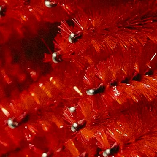 Face trio at Dream Skin by Fatima in North Las Vegas, NV